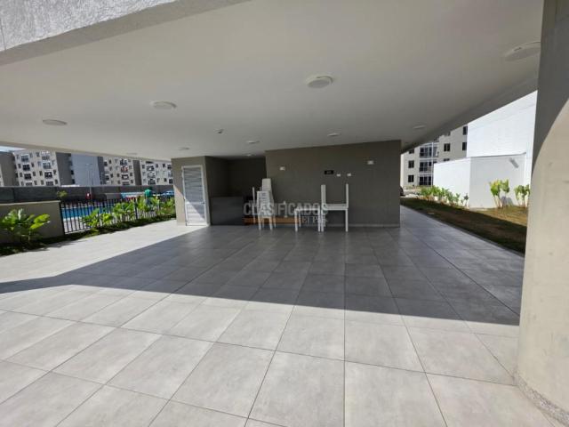Apartamentos, Alquiler en Palmira