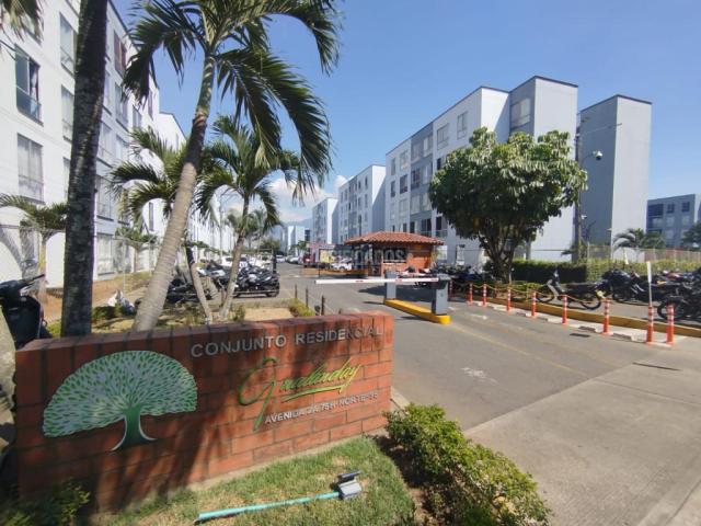 Apartamentos, Alquiler en Brisas de los Álamos