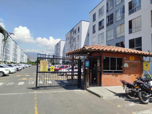 Apartamentos, Alquiler en Brisas de los Álamos
