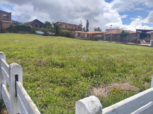 Lotes, Venta en Calima (Darién)
