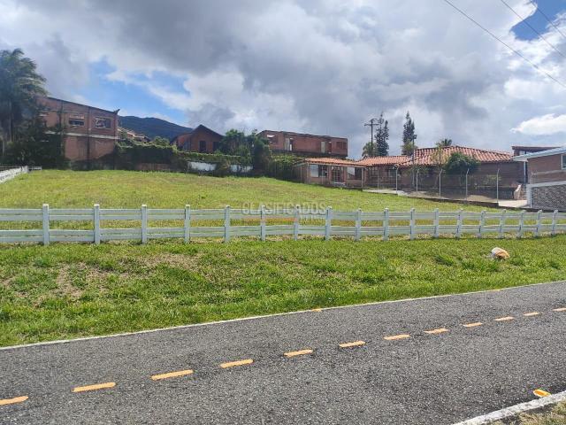 Lotes, Venta en Calima (Darién)