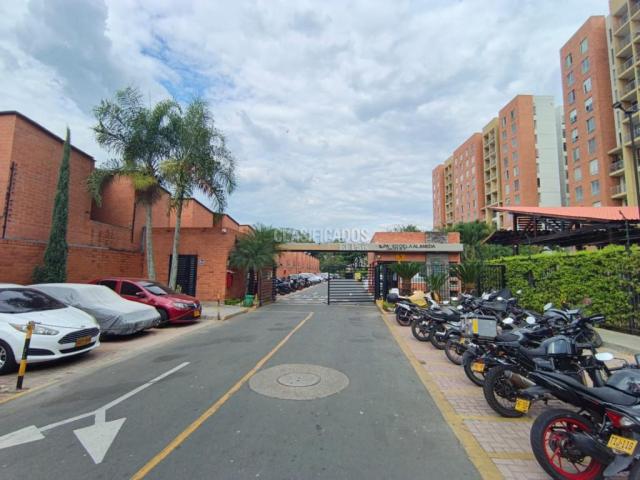 Apartamentos, Alquiler en Valle del Lili
