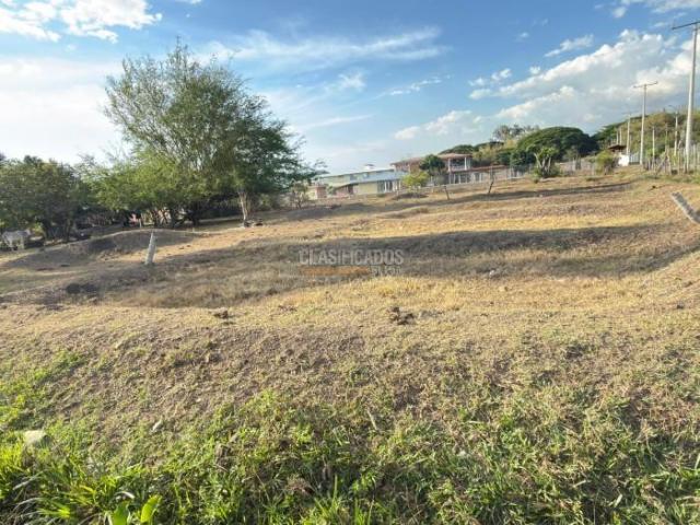 Lotes, Venta en El Cerrito