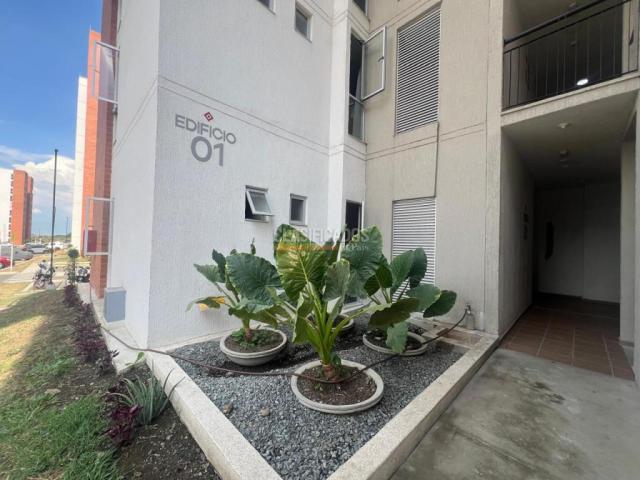 Apartamentos, Alquiler en Ciudad Pacifica