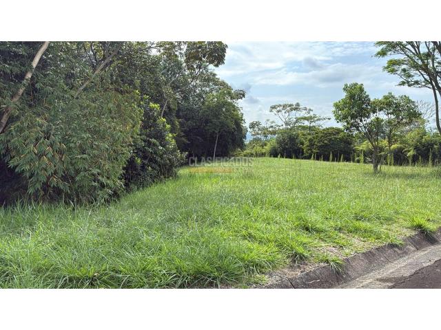 Lotes, Venta en Pance