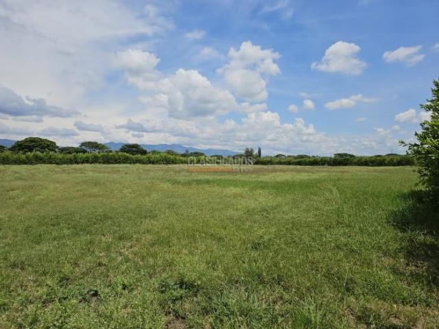 Lotes, Venta en Palmira
