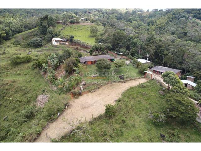 Fincas y Casas Campestres, Venta en Pance