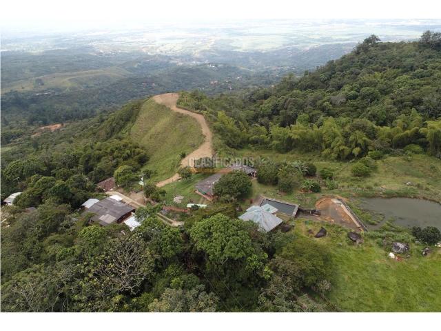 Fincas y Casas Campestres, Venta en Pance