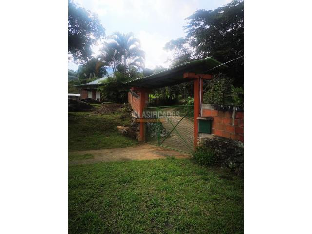 Fincas y Casas Campestres, Venta en Pance