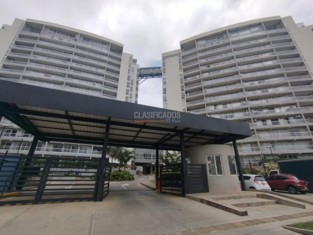 Apartamentos, Alquiler en Bellavista