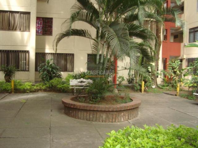 Apartamentos, Alquiler en El Limonar