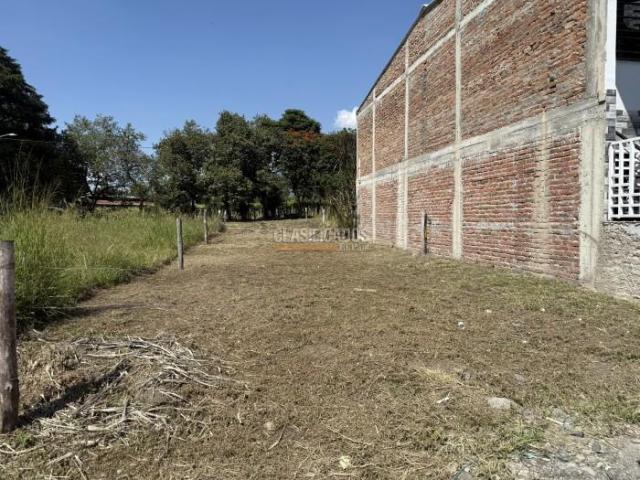 Lotes, Venta en Ginebra