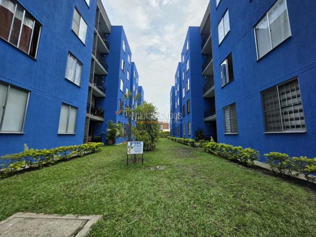 Apartamentos, Alquiler en Palmira