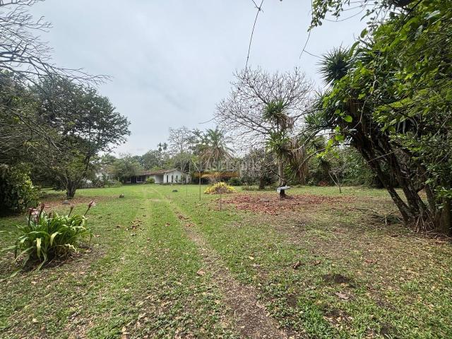 Lotes, Venta en Pance