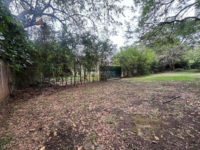 Lotes, Venta en Pance