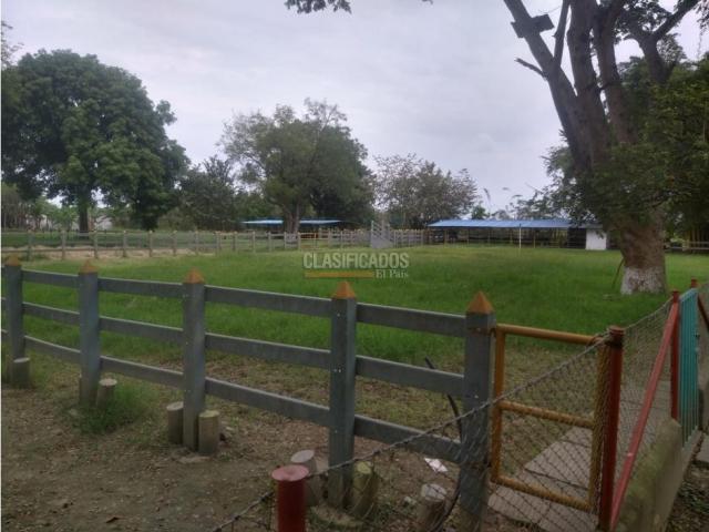 Fincas y Casas Campestres, Venta en Candelaria