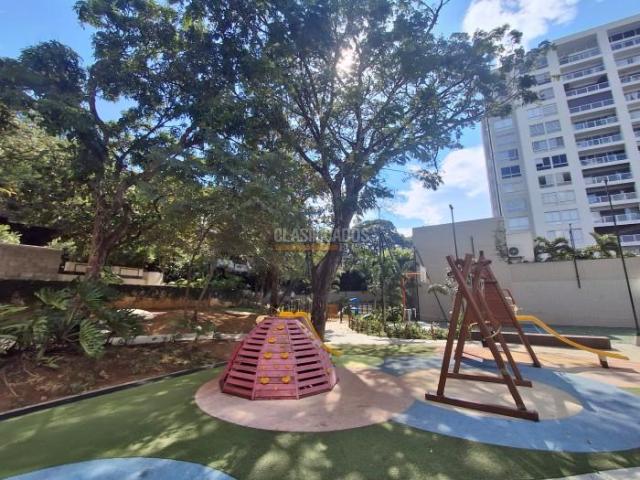 Apartamentos, Alquiler en Bellavista