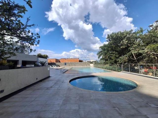 Apartamentos, Alquiler en Bellavista