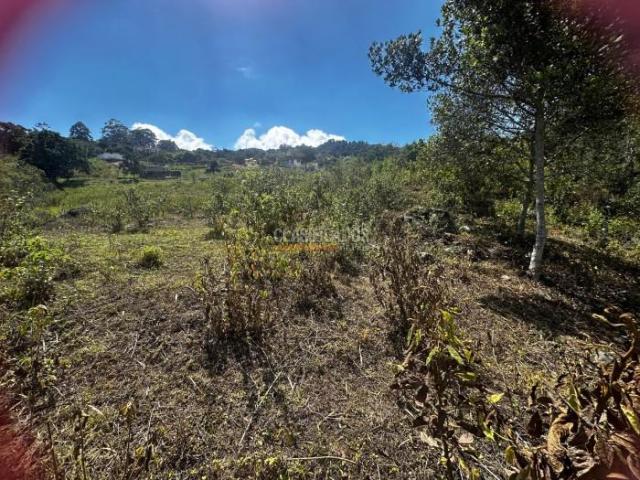 Lotes, Venta en Dapa