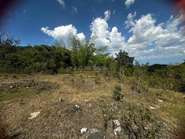 Lotes, Venta en Dapa
