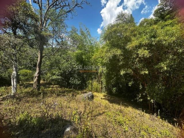 Lotes, Venta en Dapa