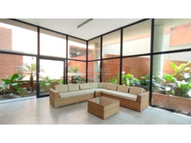 Apartamentos, Alquiler en Bellavista