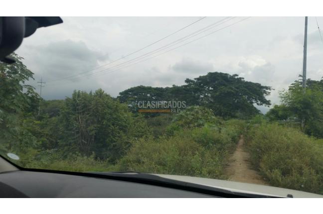 Lotes, Venta, Palmira - $1.500.000.000