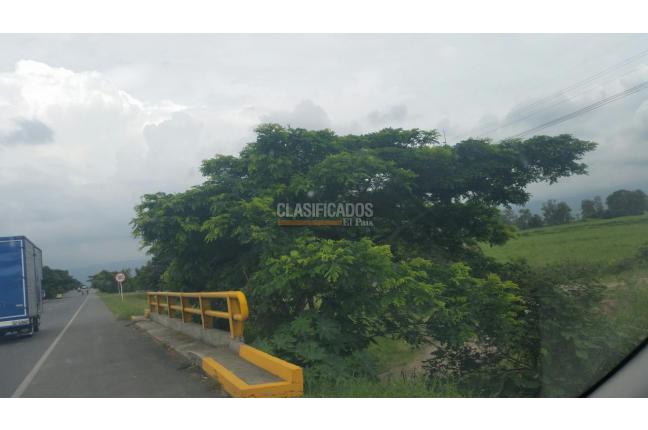 Lotes, Venta, Palmira - $1.500.000.000