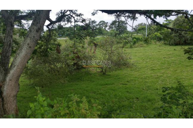 Lotes, Venta, Palmira - $1.500.000.000