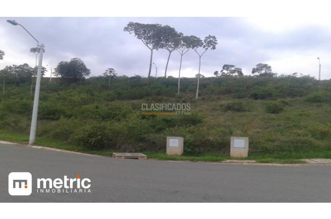 Lotes, Venta en Pance