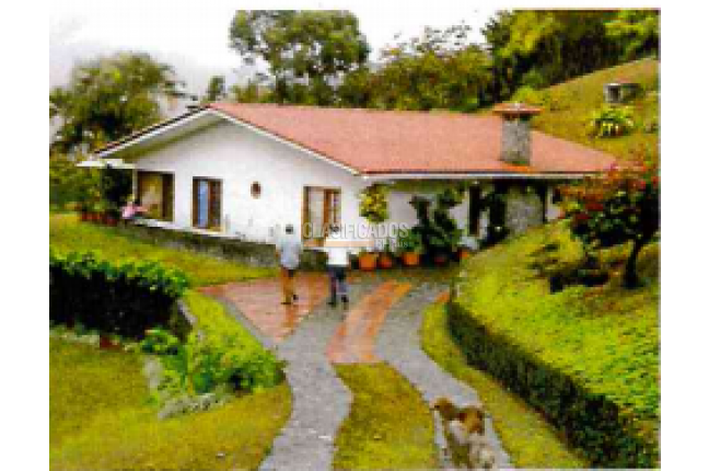 Fincas y Casas Campestres, Venta en El Pedregal