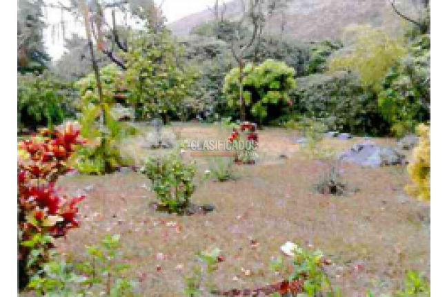 Fincas y Casas Campestres, Venta, El Pedregal - $4.152.185.000