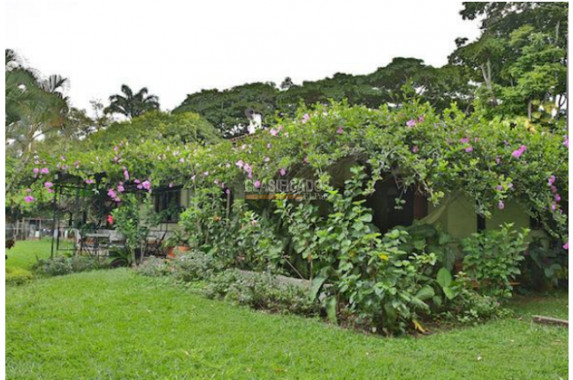 Casas, Venta, Pance - $2.800.000.000