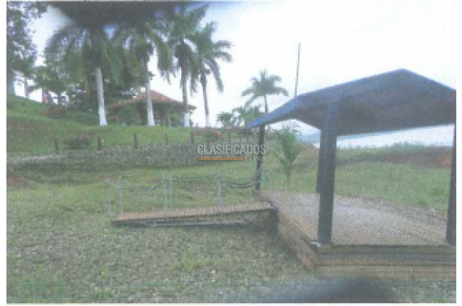 Fincas y Casas Campestres, Venta, Calima (Darién) - $3.500.000.000