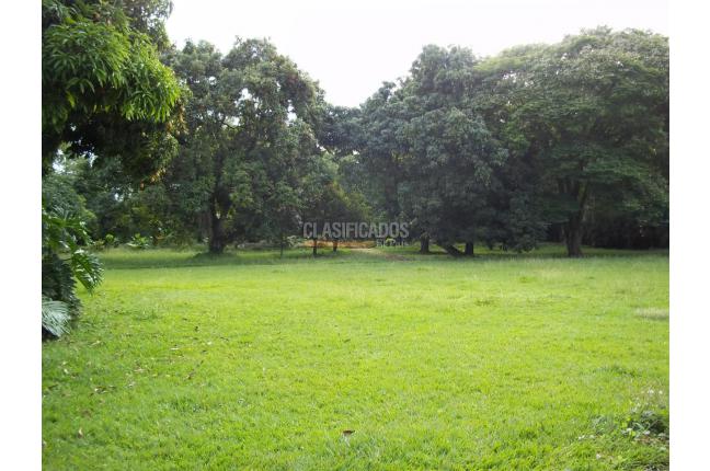 Lotes, Venta en Pance