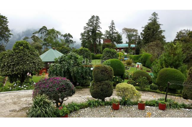 Fincas y Casas Campestres, Venta, Dagua - $990.000.000