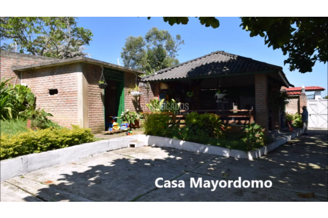 Fincas y Casas Campestres, Venta, Dagua - $1.000.000.000