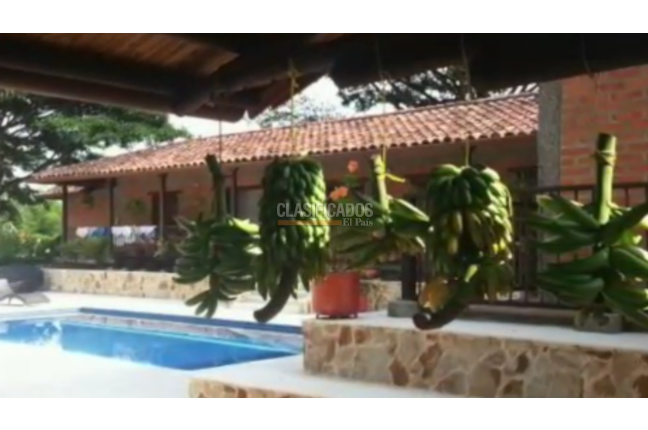 Fincas y Casas Campestres, Venta, Montenegro - $11.000.000.000