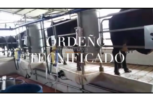 Fincas y Casas Campestres, Venta, Montenegro - $11.000.000.000