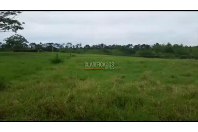 Fincas y Casas Campestres, Venta, Montenegro - $11.000.000.000