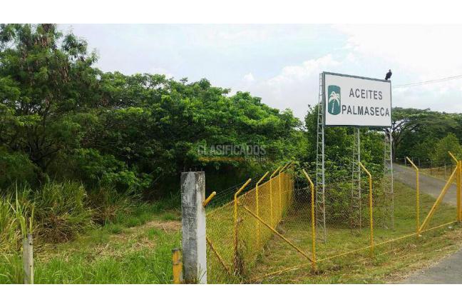 Lotes, Venta, Palmira - $2.210.000.000