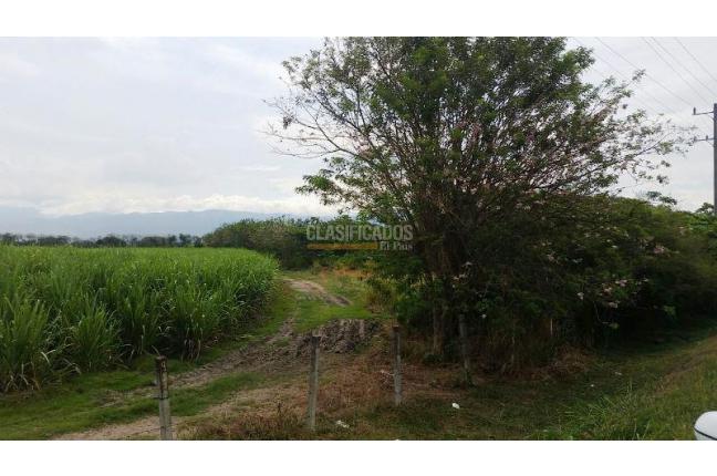 Lotes, Venta, Palmira - $2.210.000.000