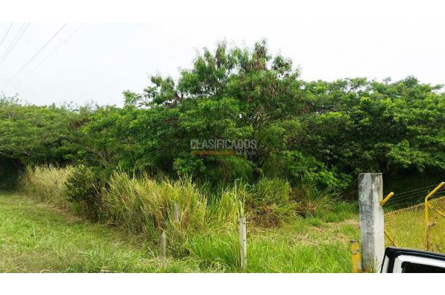 Lotes, Venta, Palmira - $2.210.000.000