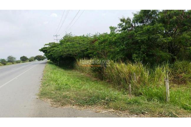 Lotes, Venta, Palmira - $2.210.000.000