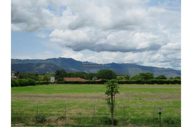 Lotes, Venta en Palmira