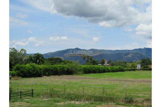 Lotes, Venta en Palmira