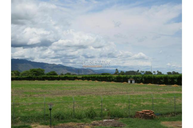 Lotes, Venta, Palmira - $3.000.000.000