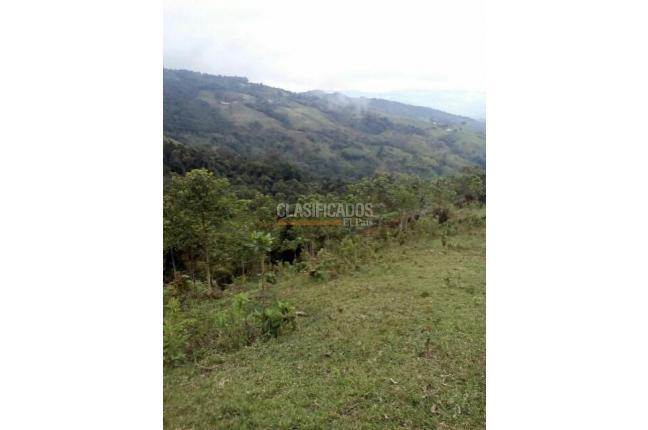 Lotes, Venta en Buga