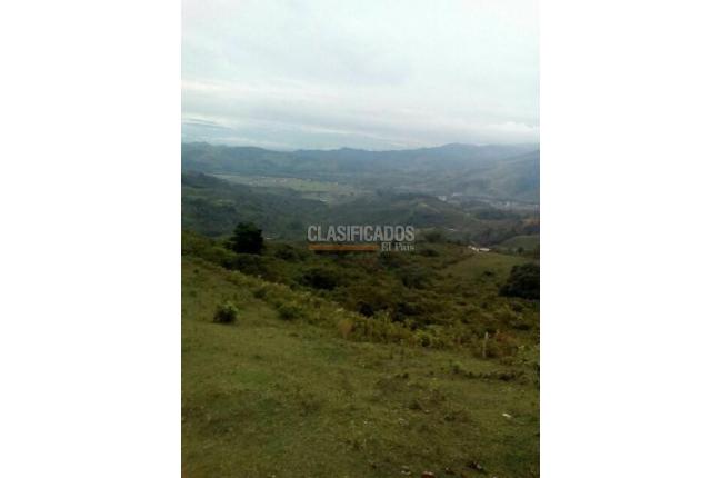 Lotes, Venta en Buga