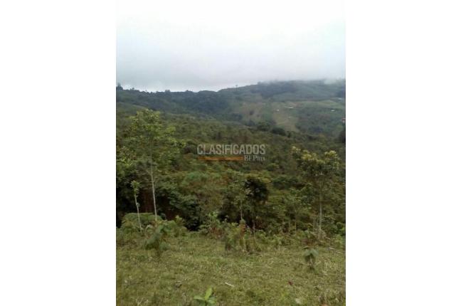 Lotes, Venta, Buga - $1.600.000.000